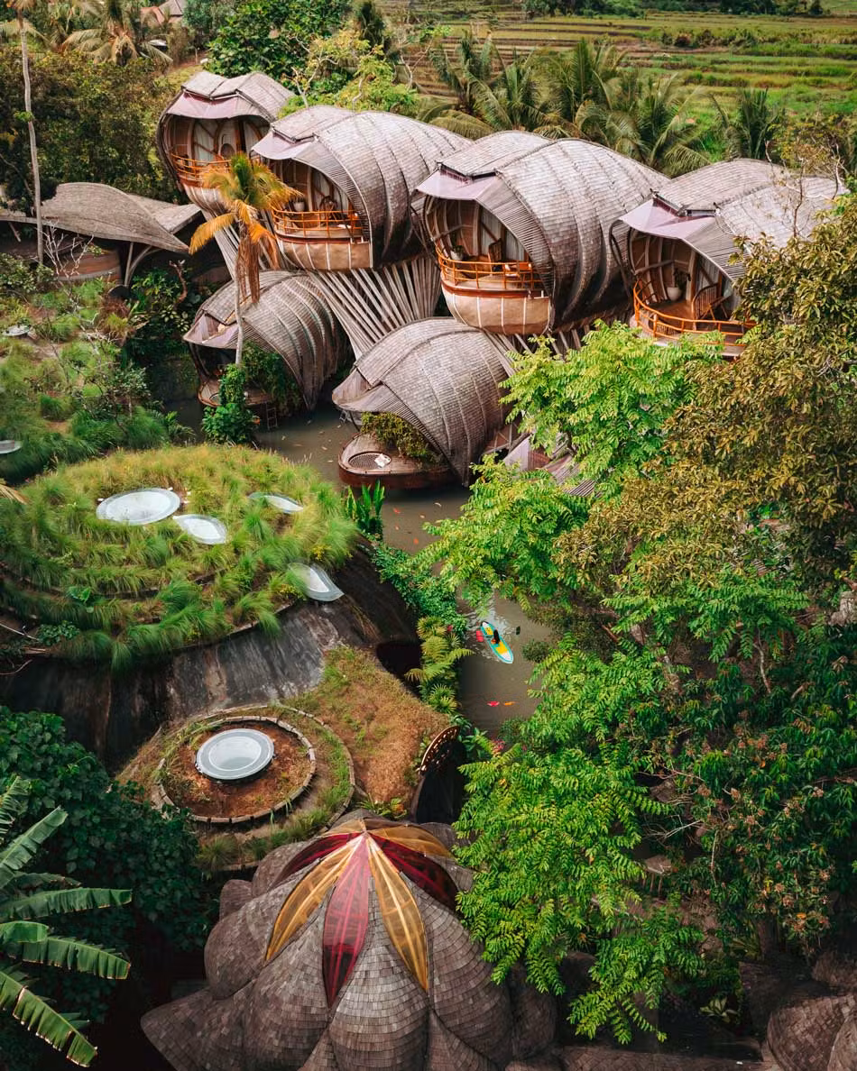The Five-Star Formula: Trip to Vietnam